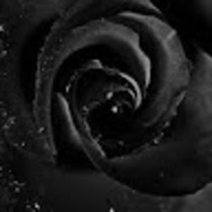 Meet your Posher, Ariana